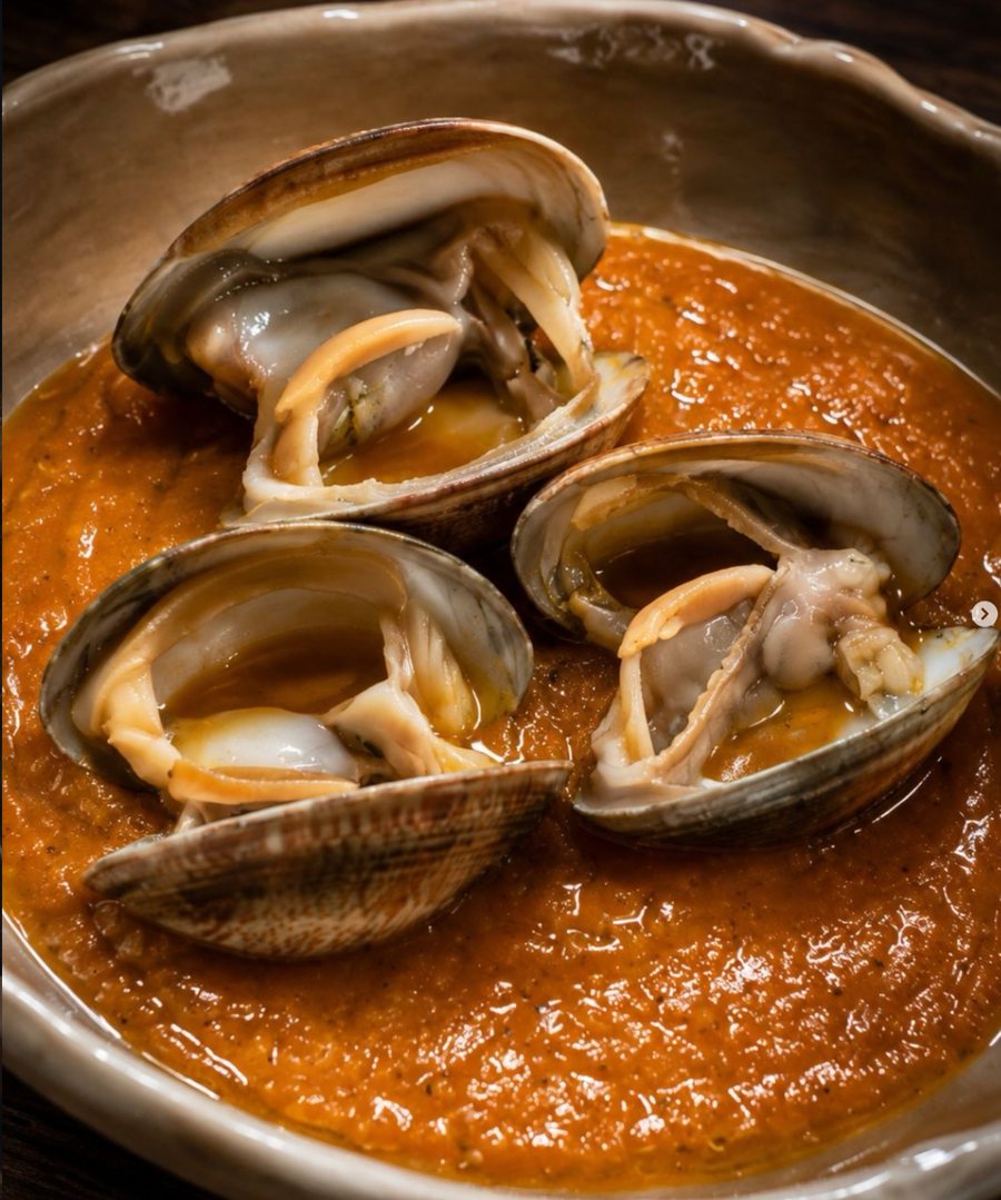 Clams in sauce